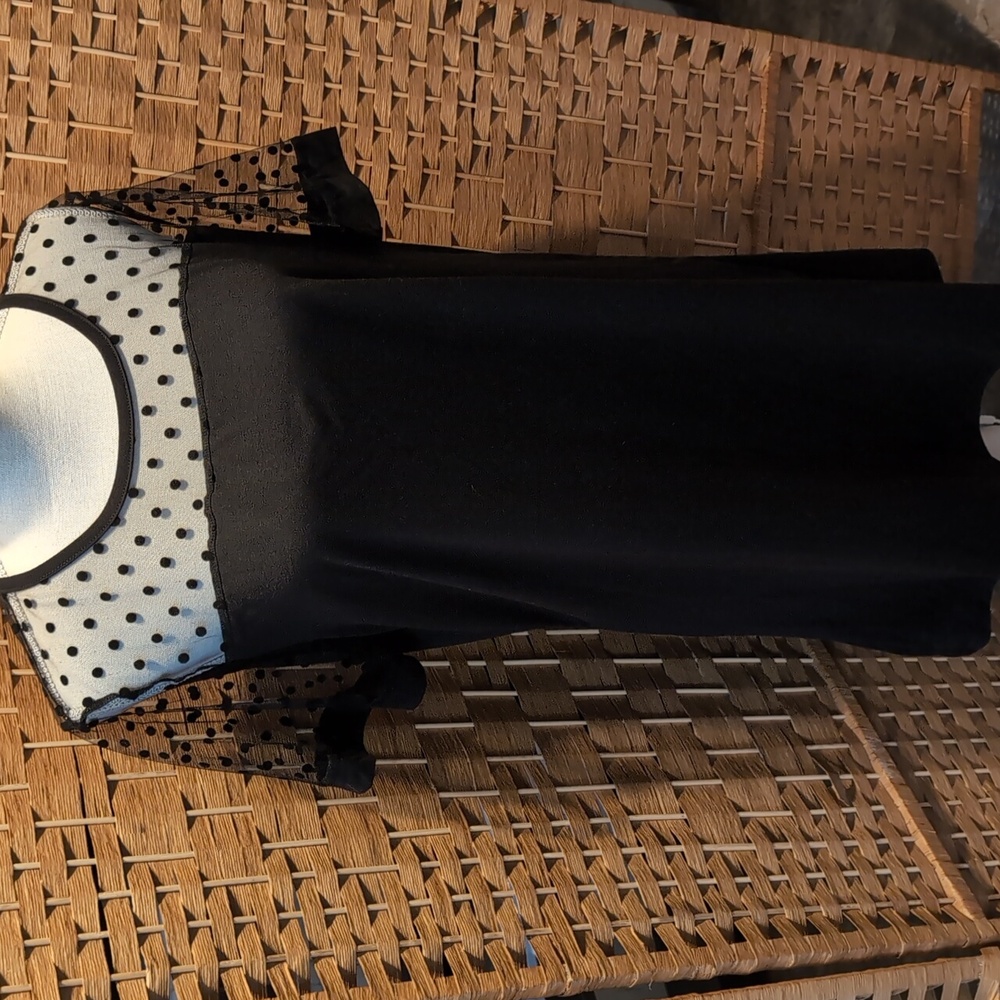 Izuria Black Sheer Polka Dot Mesh Mini Dress XL